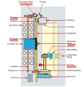 epson paper feed sensors